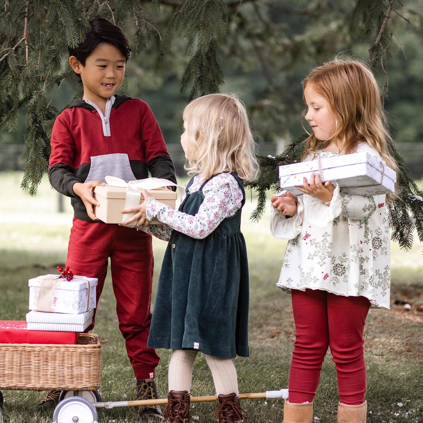 Poinsettia Dress Set