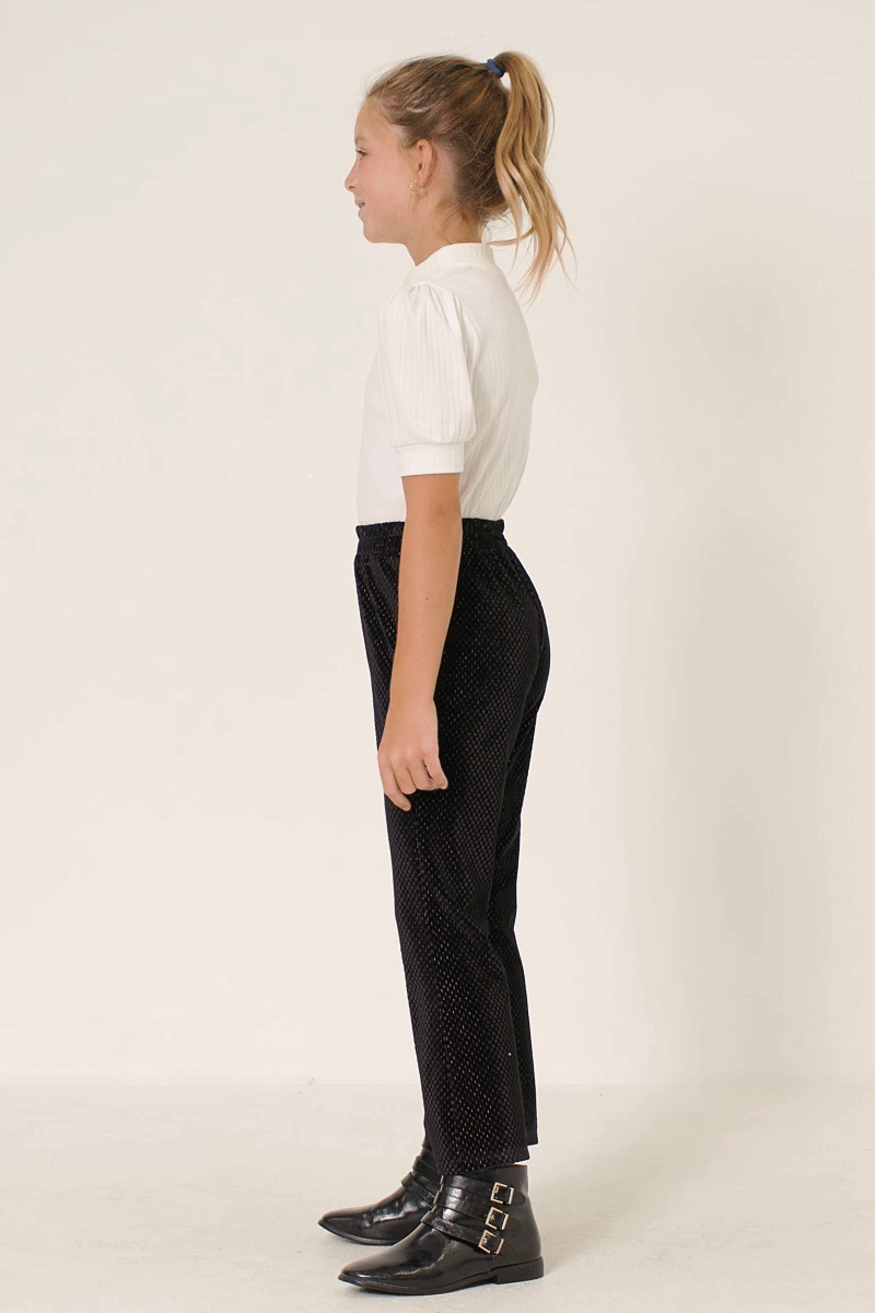 Velvet Shimmer Pants