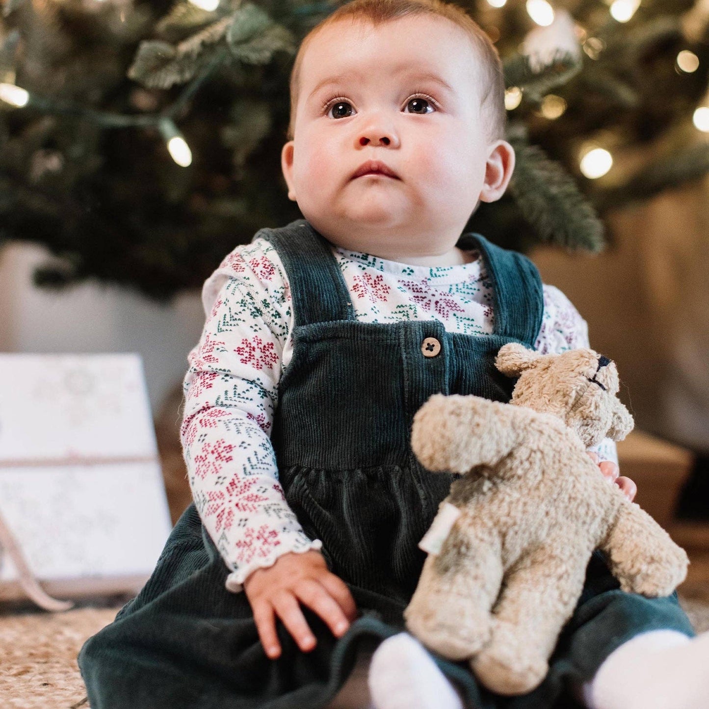 Poinsettia Dress Set