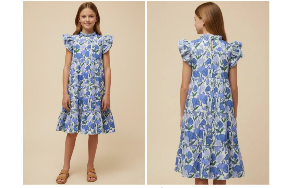 Nora Blue Floral Dress