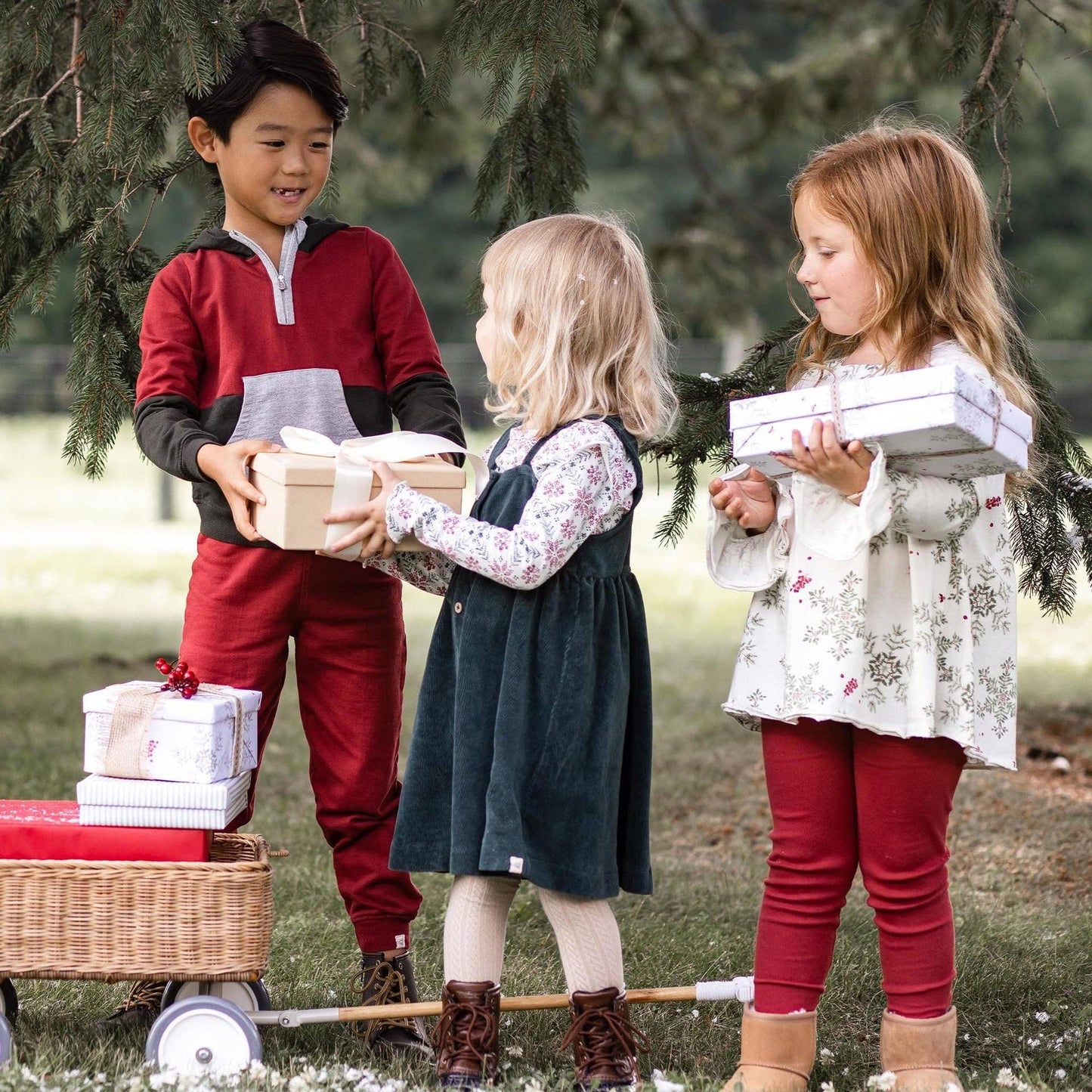 Holiday Snowflakes Set