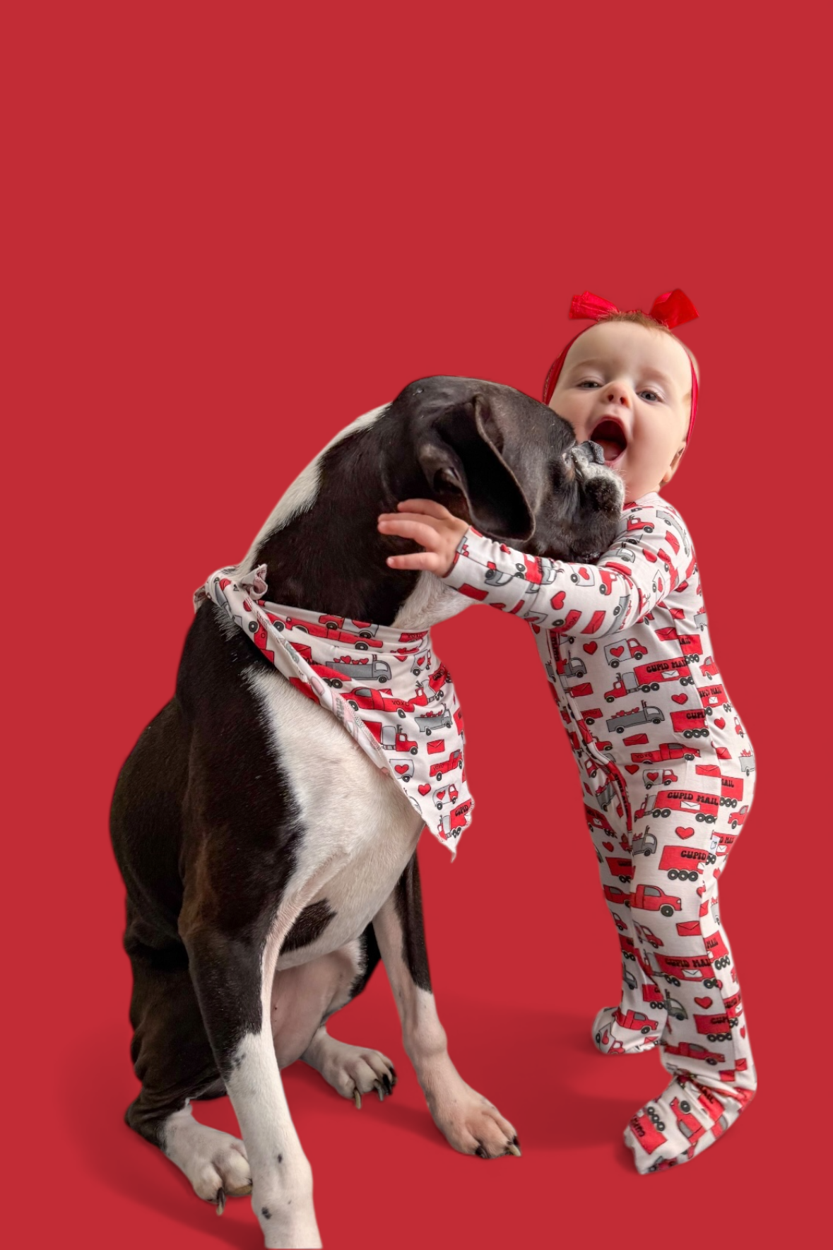 HAULIN' HEARTS DREAM ZIPPY